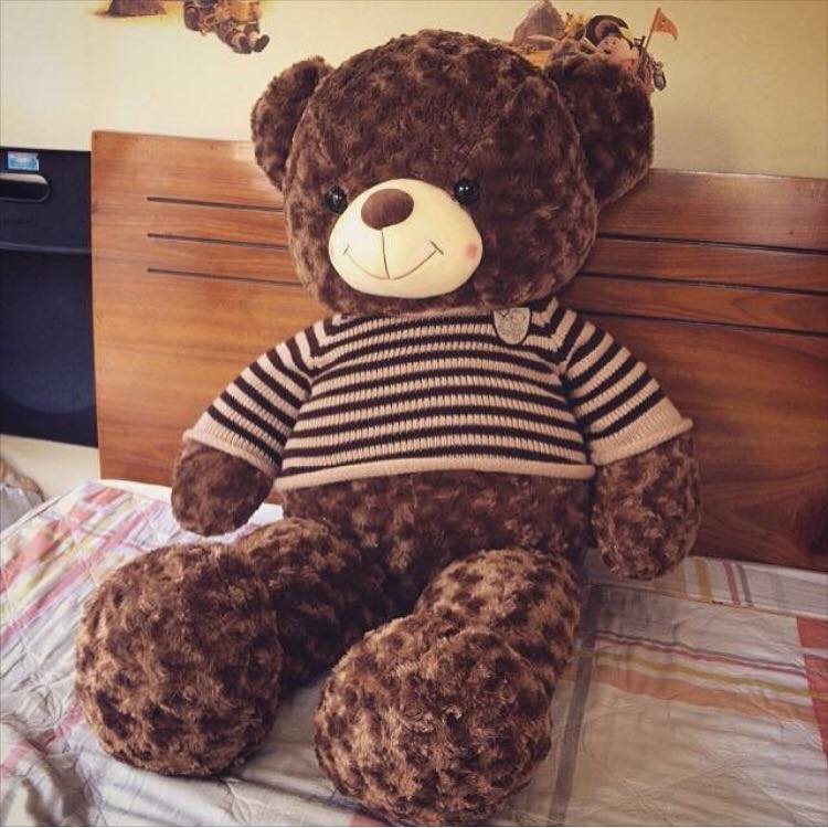 Gấu Bông Teddy Socola 90cm