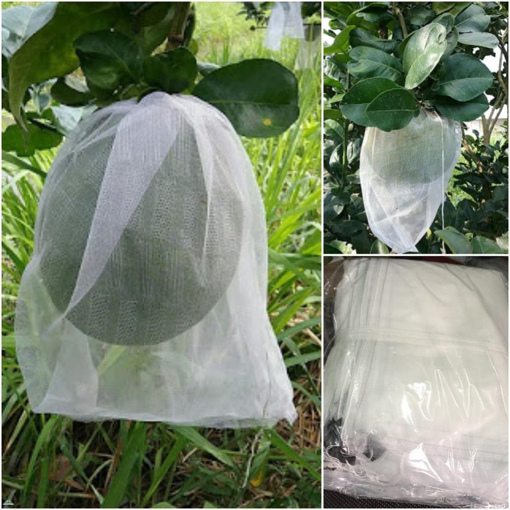SET 100 CÁI TÚI BỌC MÍT SIZE 45X60 SIÊU BỀN