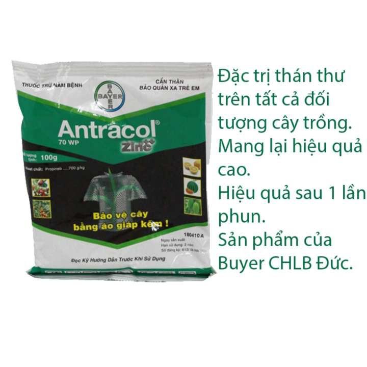 Phòng trừ vàng lá, thối rễ, thối gốc Antracol chuyên dùng cho phong lan, cây cảnh gói 100g