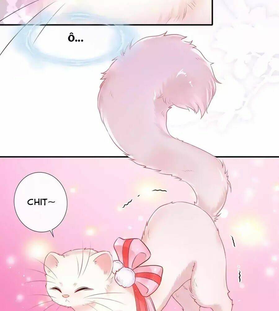 dưỡng thú vi phi chapter 1 30