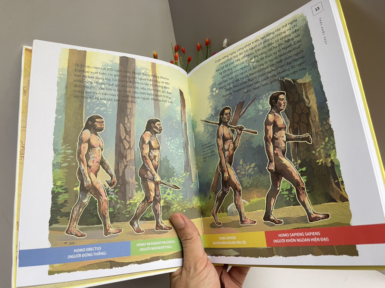 - LỊCH SỬ VIỆT NAM BẰNG TRANH – Tập thứ 19 trong bộ sách quan trọng cho tuổi thơ đã ra mắt: THỜI KHỞI THỦY – NXB Trẻ