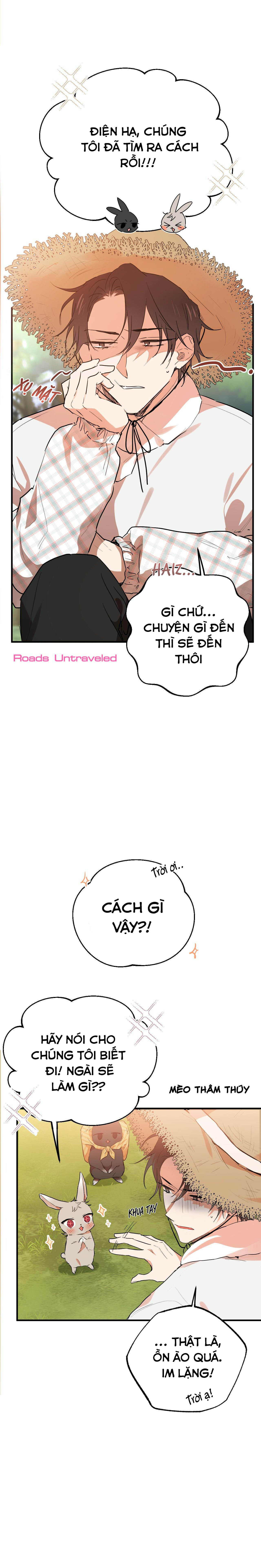 đàn thỏ của habibi chapter 10 26