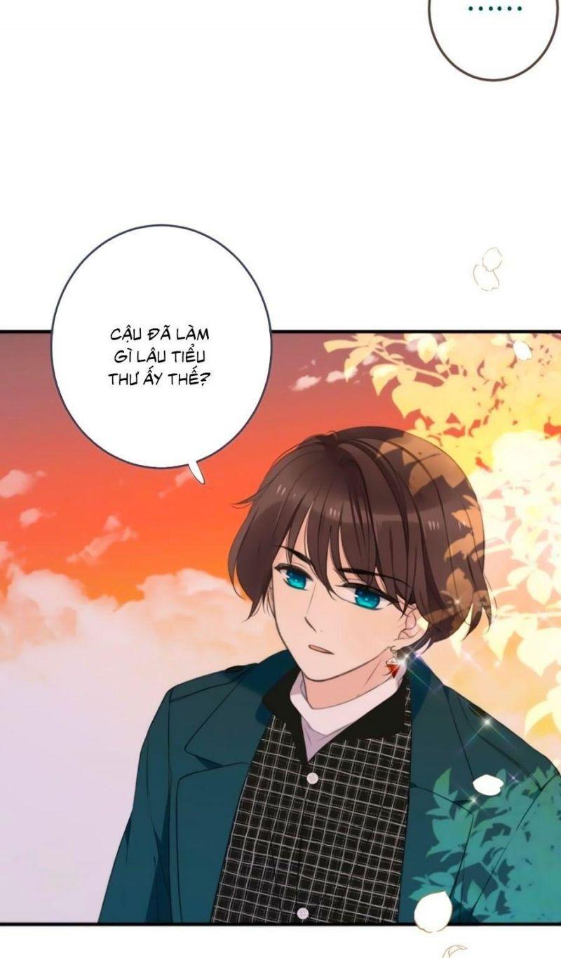 Lâu Tiểu Thư, Lại Gặp Nhau Rồi chapter 8 11