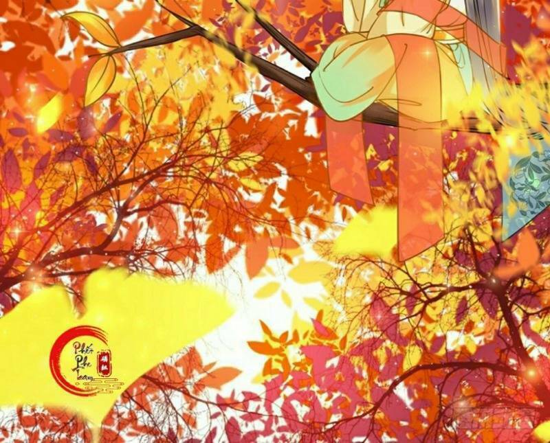 gay rồi! cái đó thành tinh rồi chapter 49 12