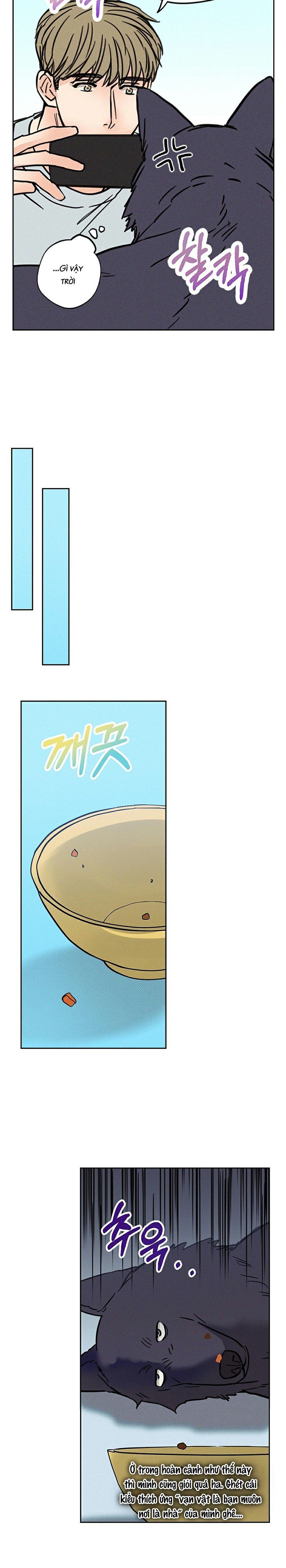 khi đêm trăng tròn chapter 5 8