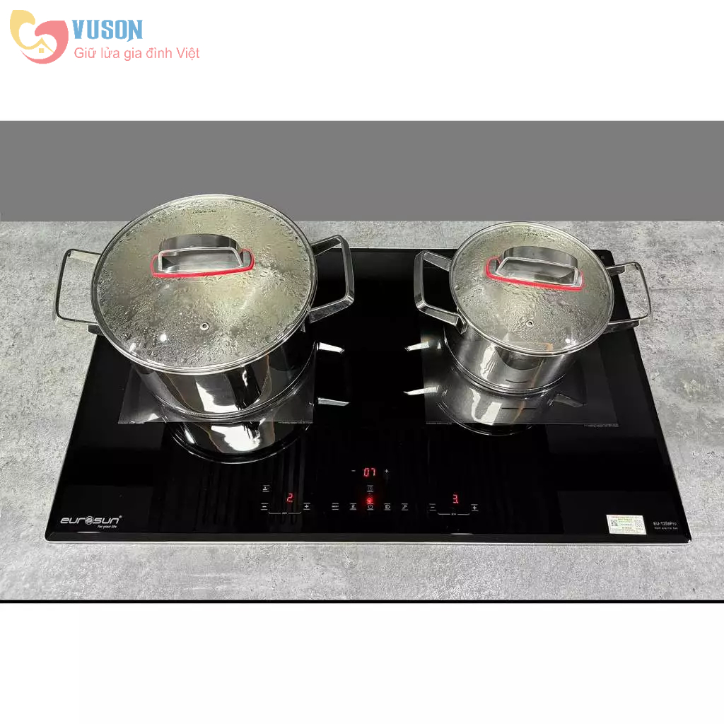 Bếp Từ Eurosun EU-T256PRO - Hàng chính hãng