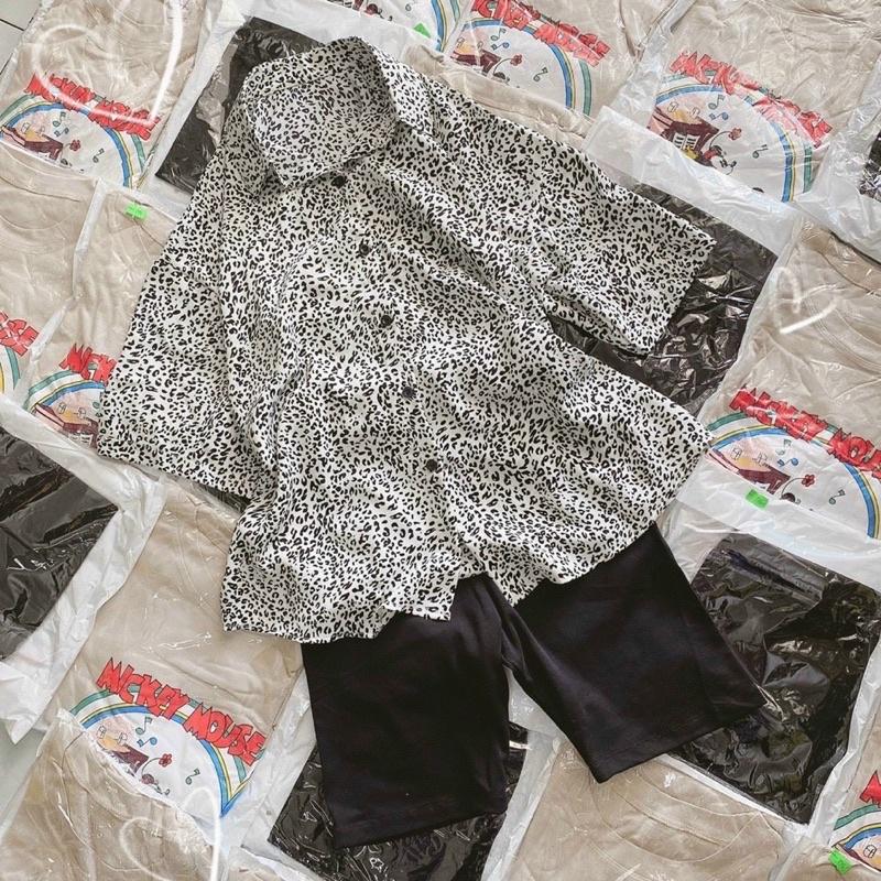 SET SƠ MI BEO + QUẦN LEGGING LỬNG