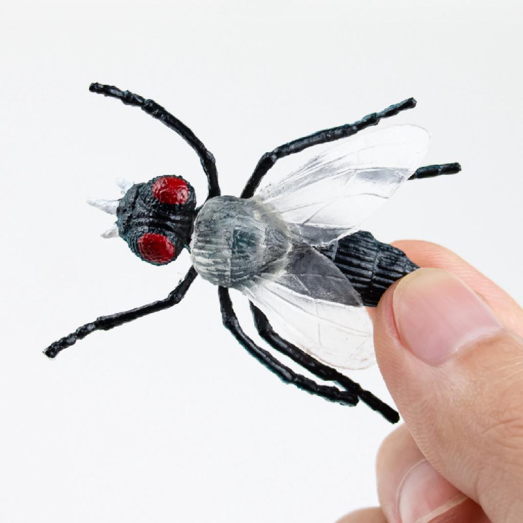 Đồ chơi 12 mô hình côn trùng nhựa Bọ ngựa Nhện Sâu Kiến Ruồi Rết Châu Chấu Ruồi Dế