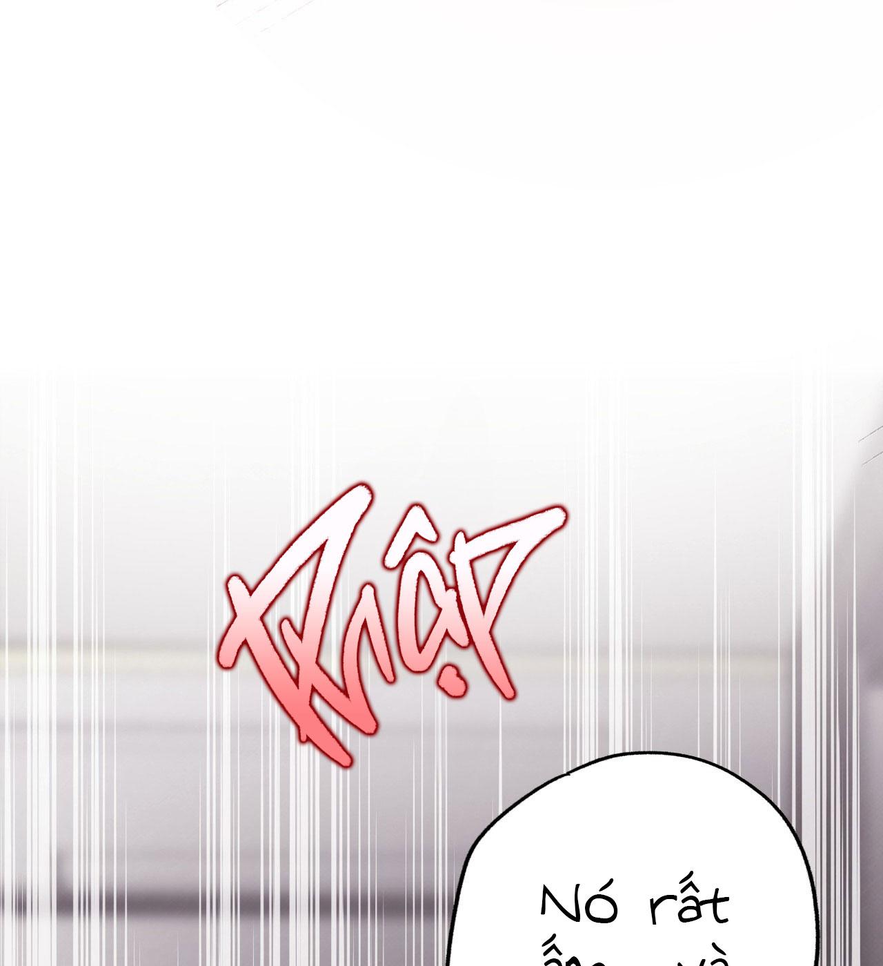 mật gấu chapter 28 64