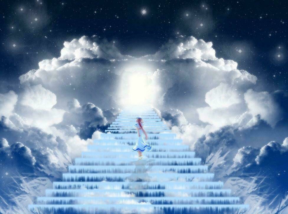 album natural wallpapers chapter 1 25