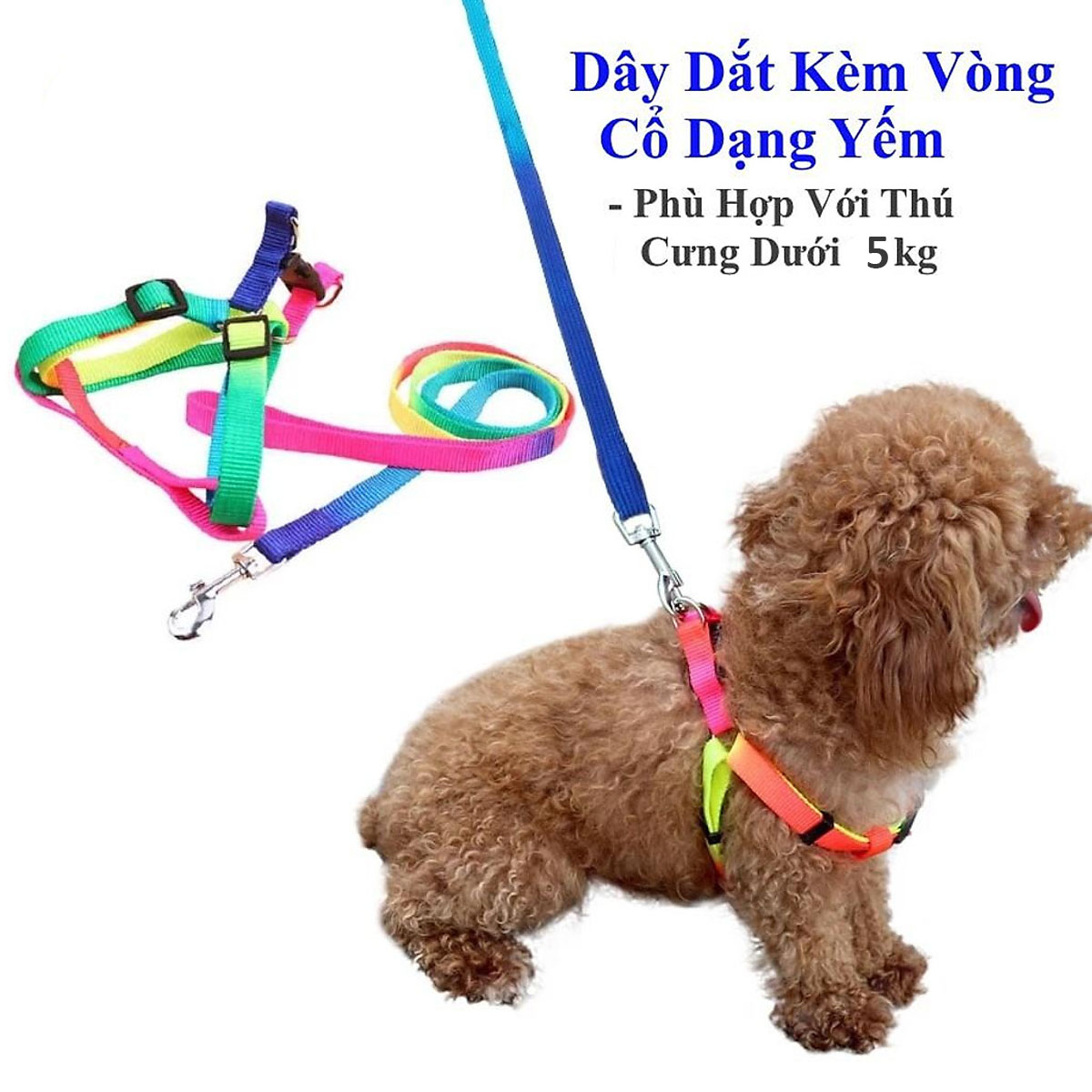 Dây Dắt Kèm Yếm Màu 7 Sắc Cầu Vòng Cho Chó Mèo Dưới 5kg Bản 1cm