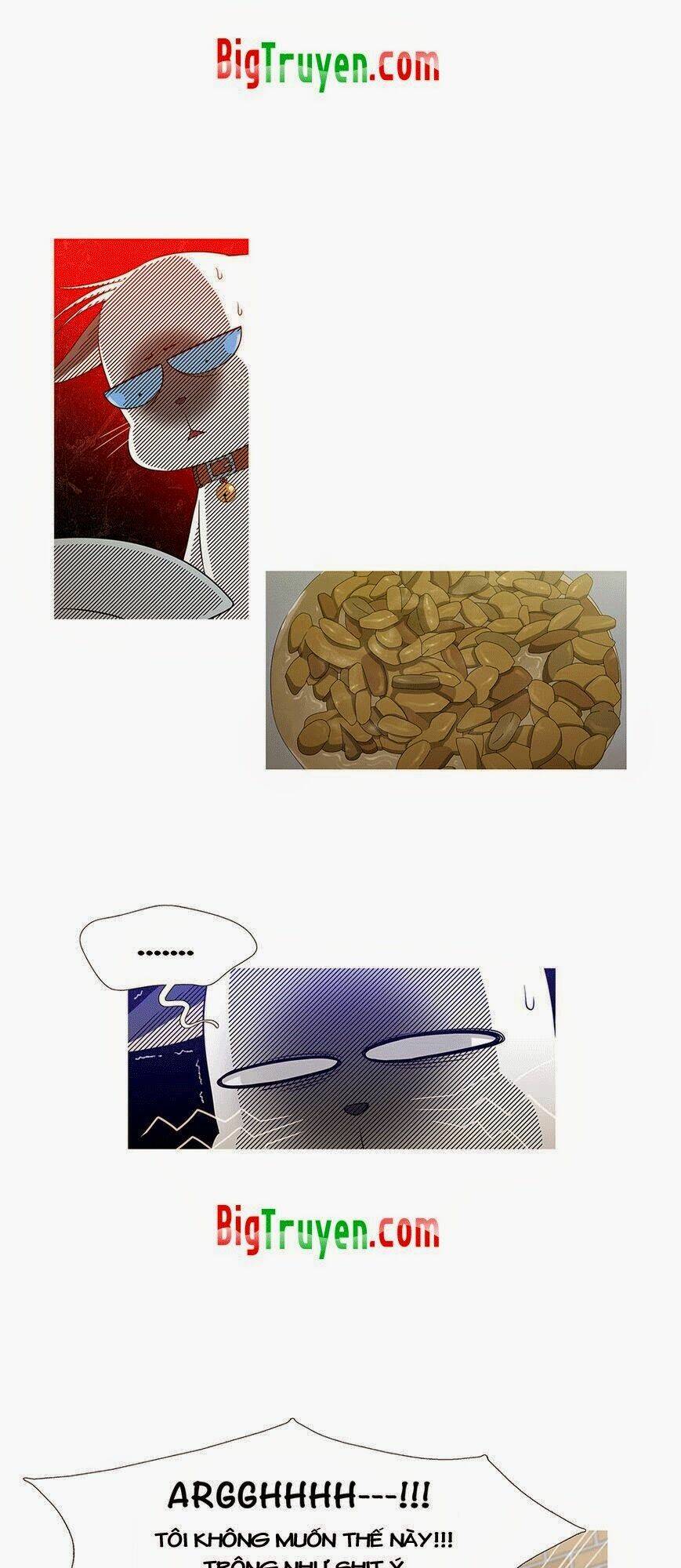 trái tim của một người bạn chapter 12 37