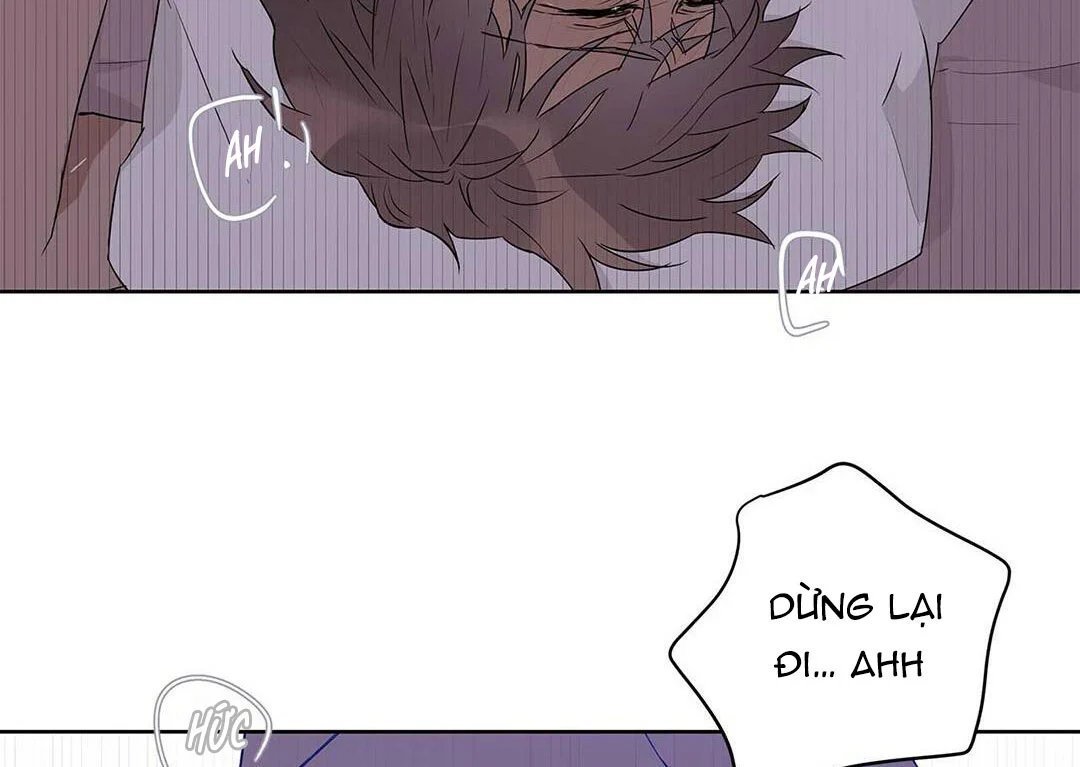 guide cấp b chapter 21 47