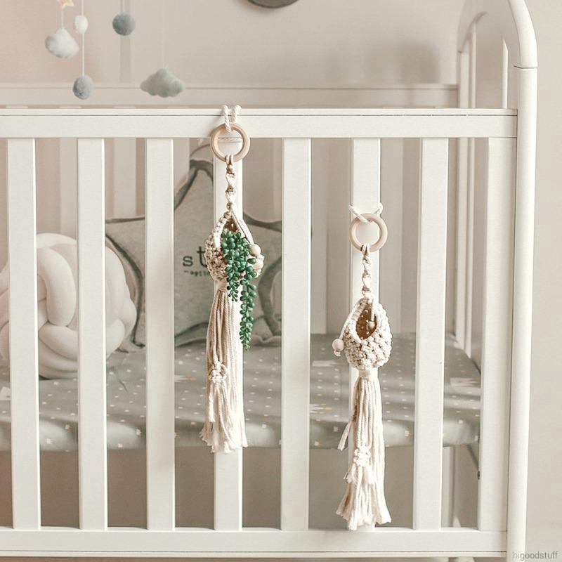 Chậu cây bằng dây cotton thắt thủ công dùng trang trí tường nhà