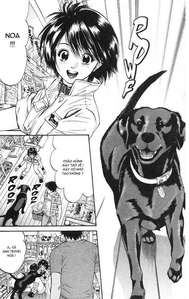 cô nàng yêu chó chapter 4 2