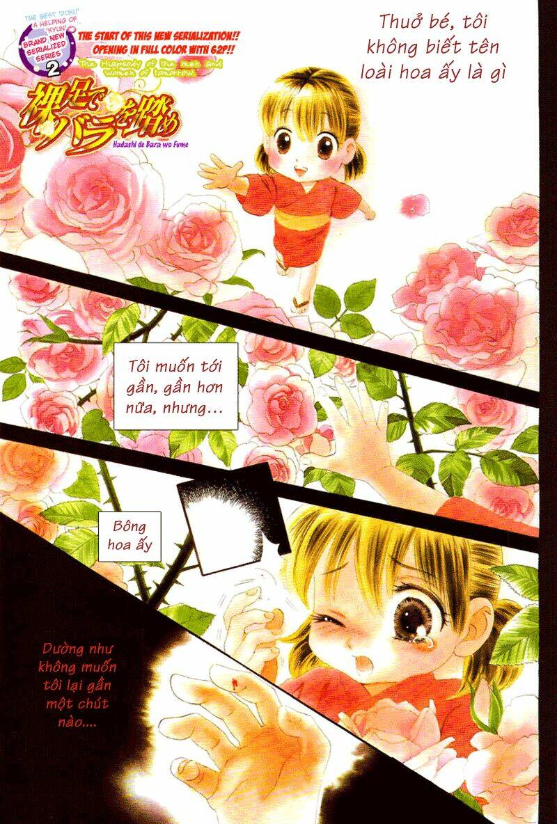 hoa hồng đỏ chapter 1 2