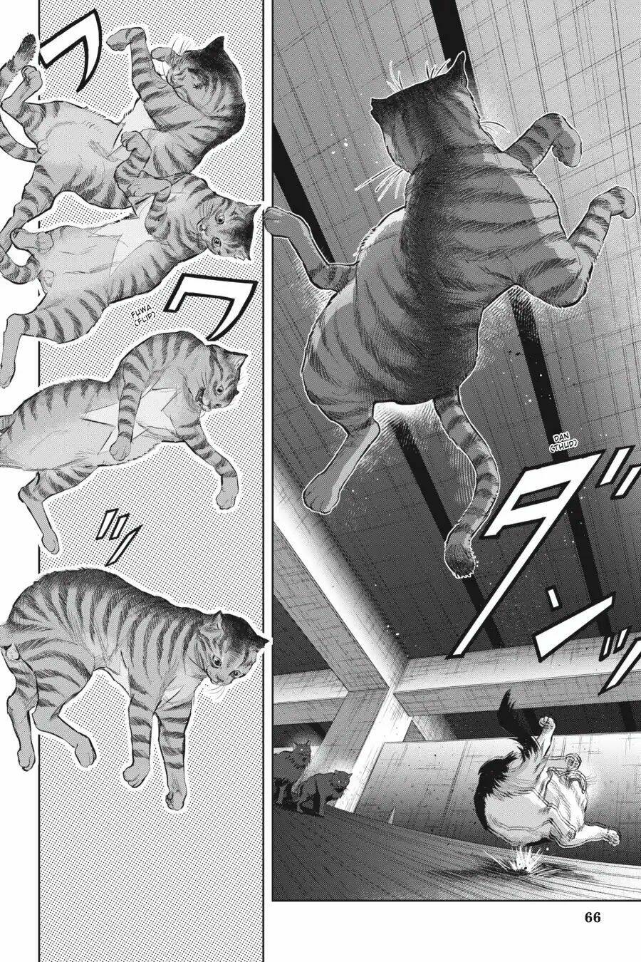 nyankees chapter 9 6