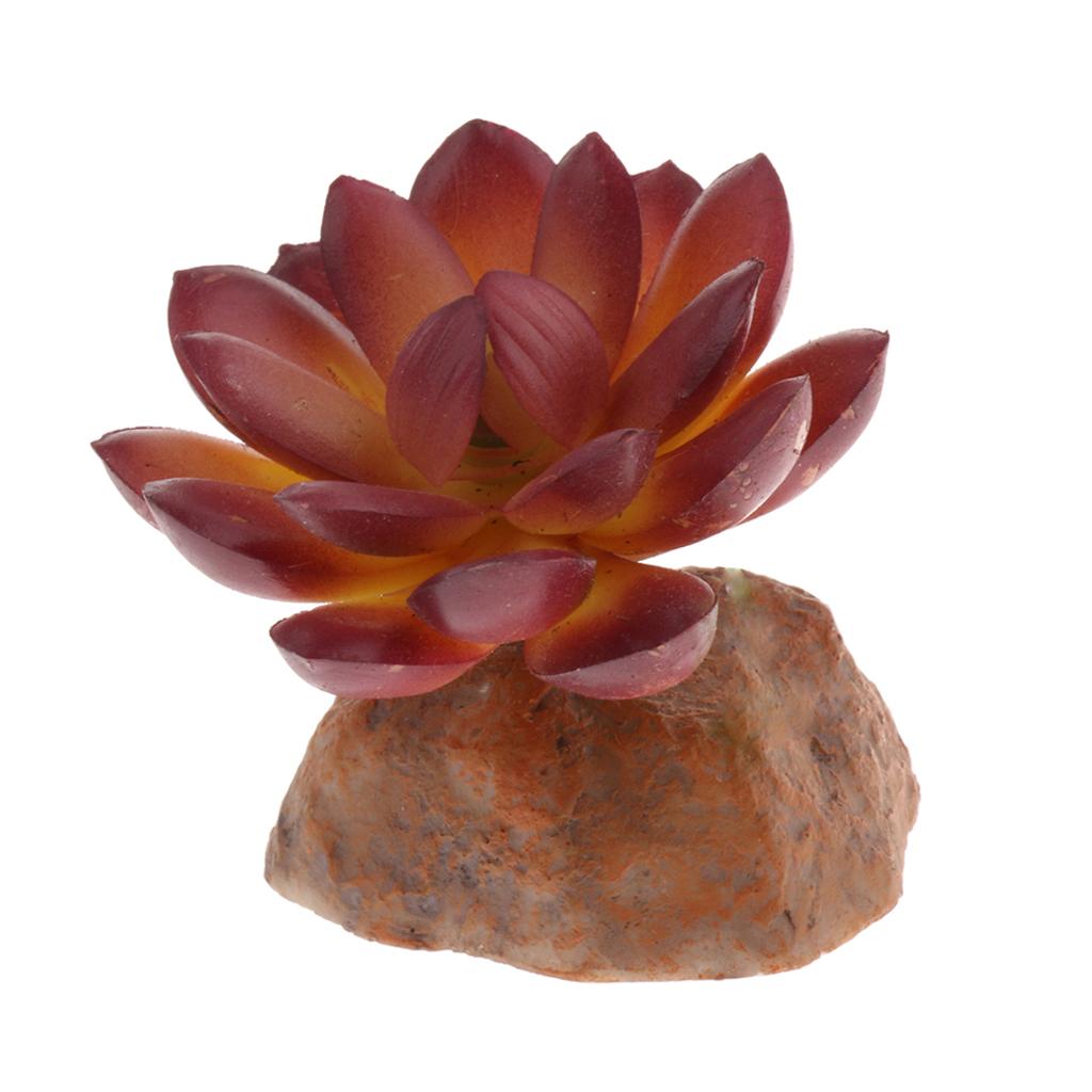 2x Reptile Terrarium Vivarium Ornament Desert Plant with Rock Base Decor