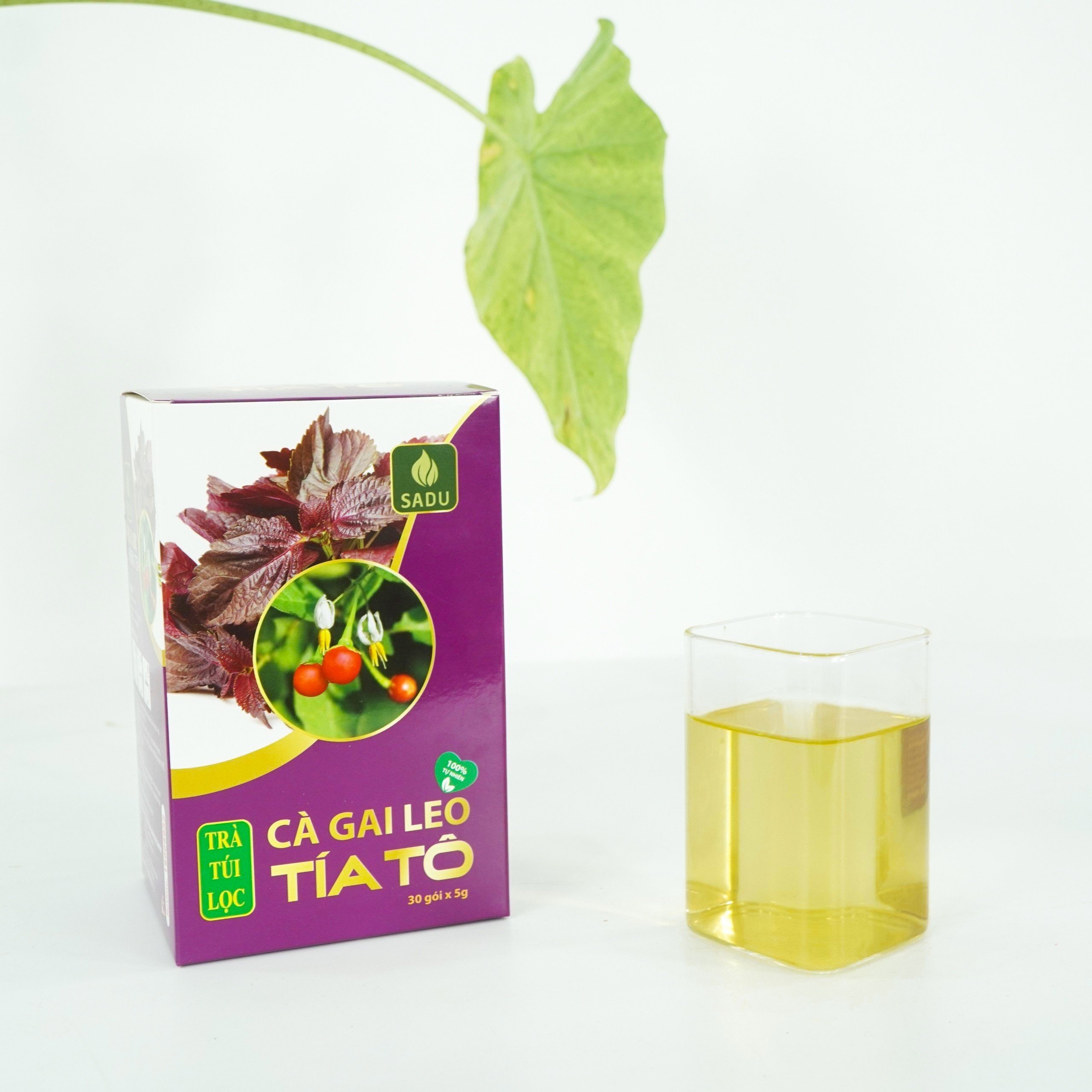 Hộp Trà cà gai leo tía tô Sadu gói 150g thanh nhiệt,thải độc,hỗ trợ giảm gout,giải cảm,giảm đau dạ dày