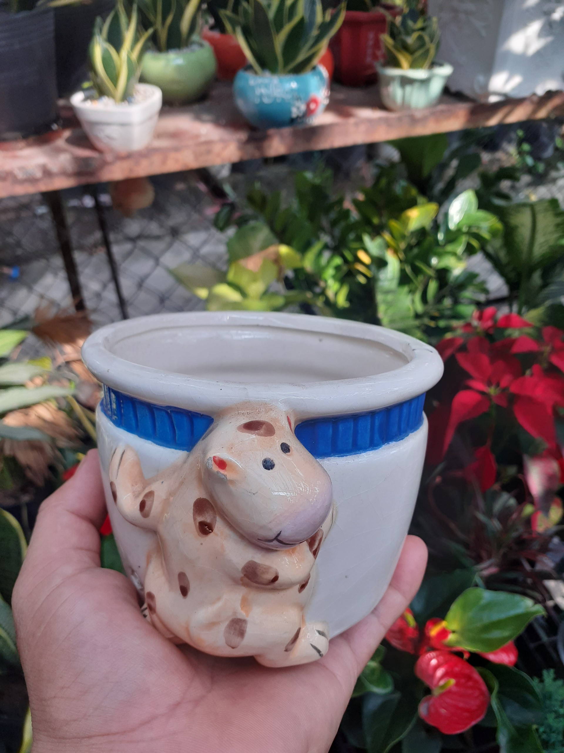 *** Chậu bé bò vàng trồng cây xinh xắn dễ thương ***