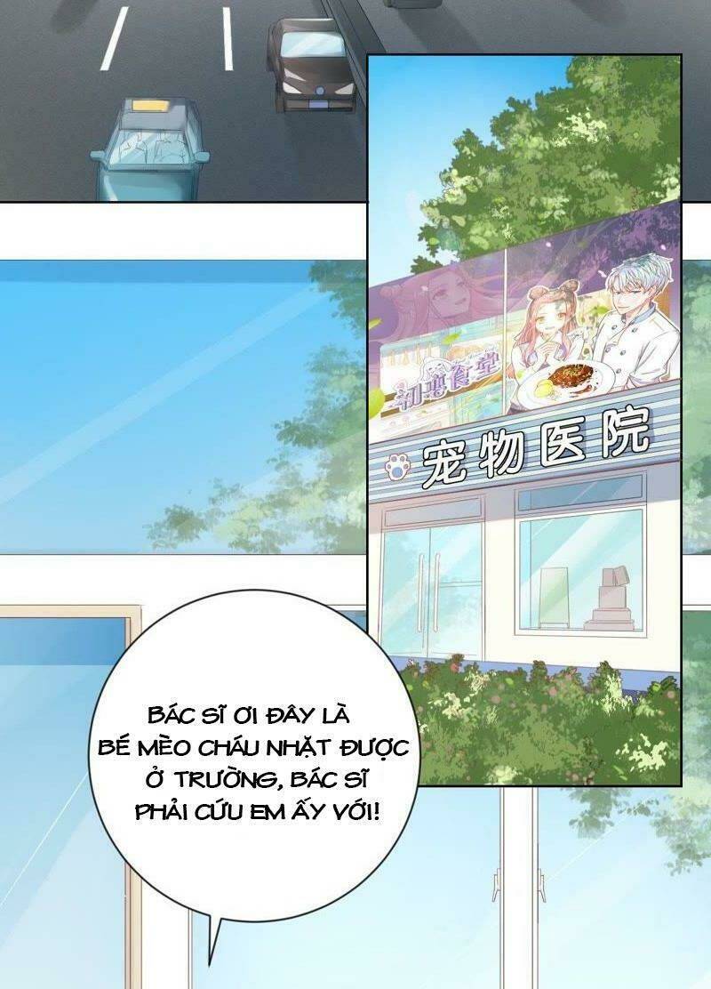 thập nhị hắc miêu chapter 1 35