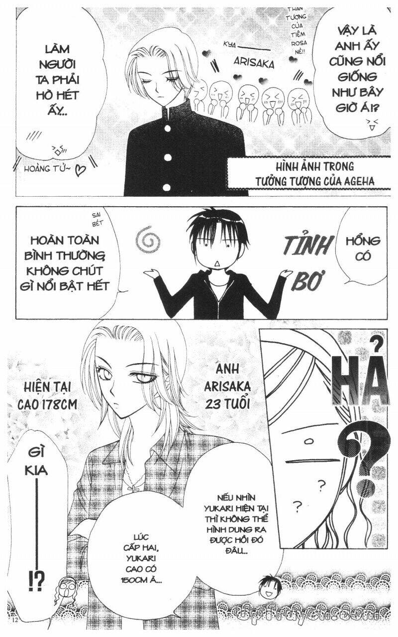 v.b.rose chapter 11 14