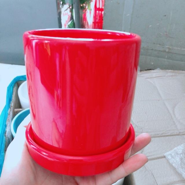 Chậu Trồng Cây