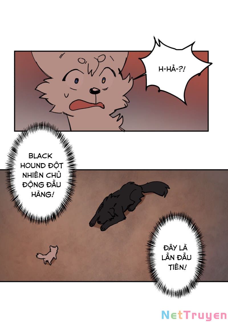 lumine - cội nguồn ánh sáng chapter 113 47