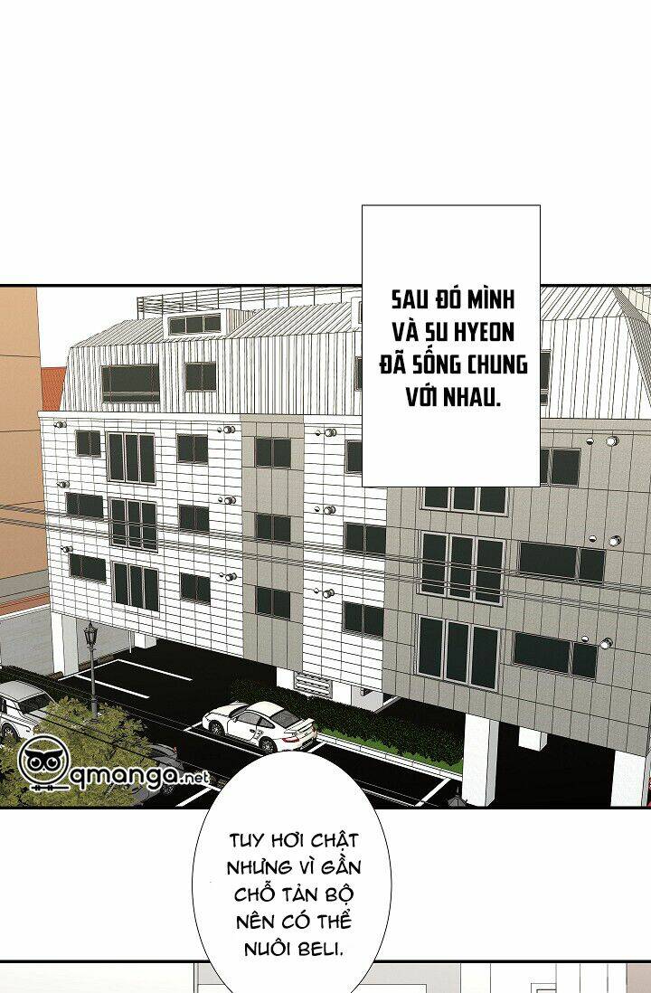 trốn tìm chapter 35 24
