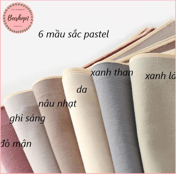 Combo 3 quần lót cotton không viền kháng khuẩn QC79