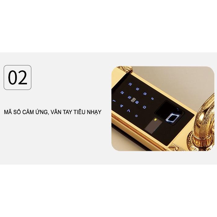 Khóa vân tay tân cổ điển Luxury MR4