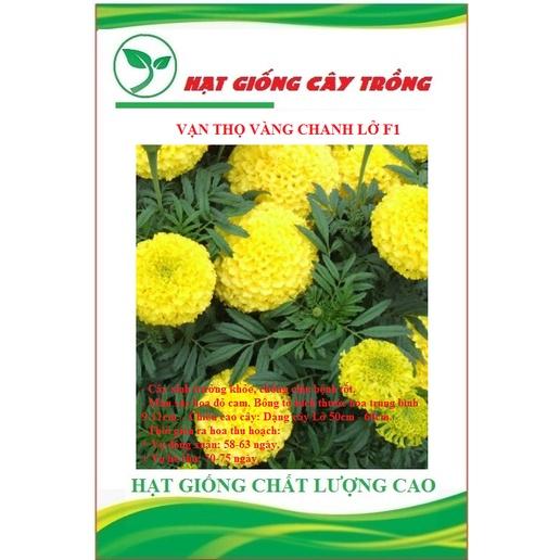 Hạt giống hoa Vạn Thọ vàng chanh Lở F1 CT484 - Gói 30 hạt