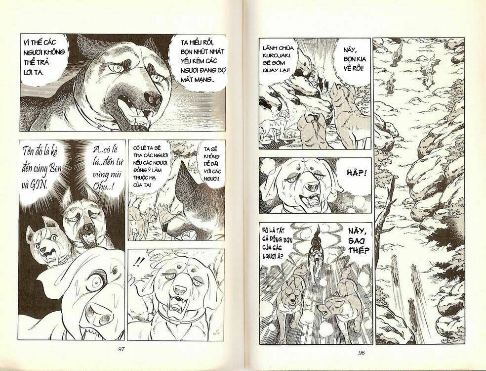 chú chó có nghĩa - ginga nagareboshi gin chapter 19 47