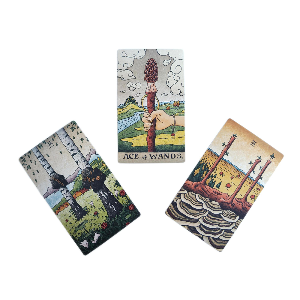 [Size Gốc] Bộ bài Mushroom Hunter's Tarot 78 lá 7x12 cm đá thanh tẩy