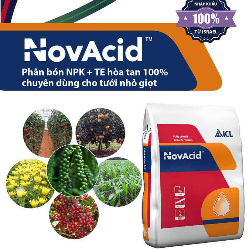 Phân bón hòa tan Israel NPK NovAcid 22-11-11+6MgO+Te giúp thúc cây bung chồi non đồng loạt, tăng kích cở trái thông qua hệ thống tưới nhỏ giọt bón gốc hay phun lên lá