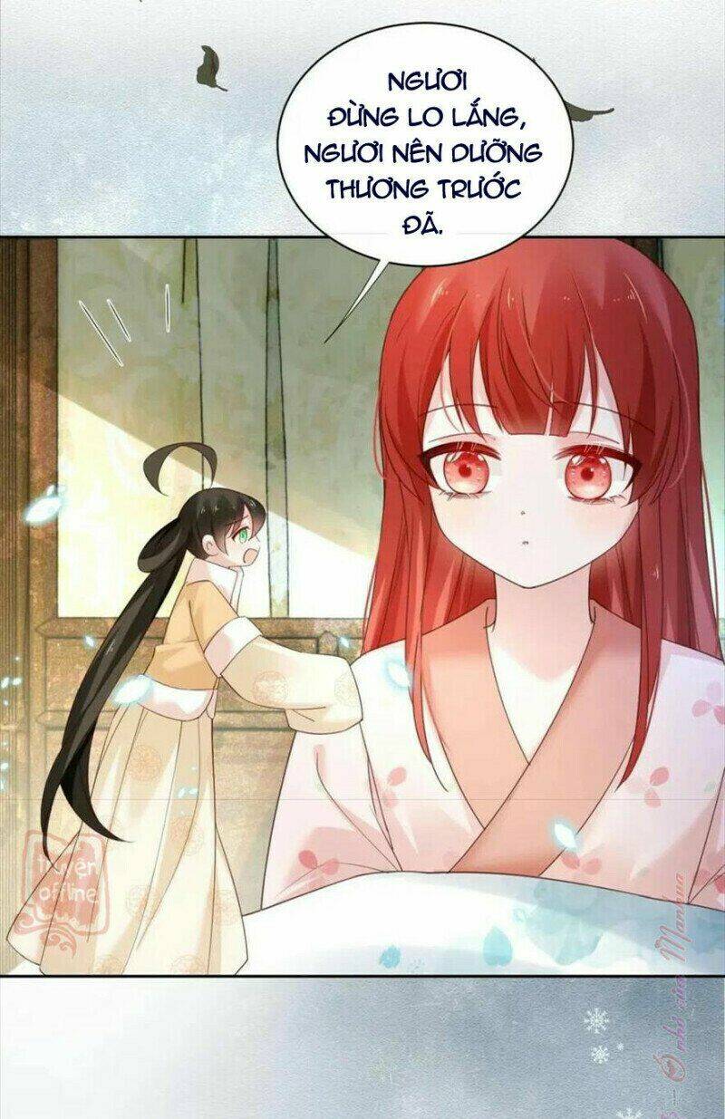 hắc hóa nam chính trực tuyến nuôi thỏ chapter 55 8