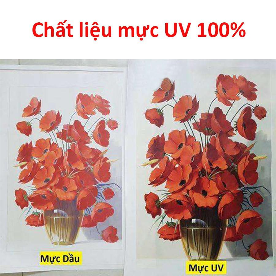 Bộ tranh treo tường phong thủy trang trí nội thất đẹp và giá rẻ nhất thị trường ĐL 43 chim công ý nghĩa