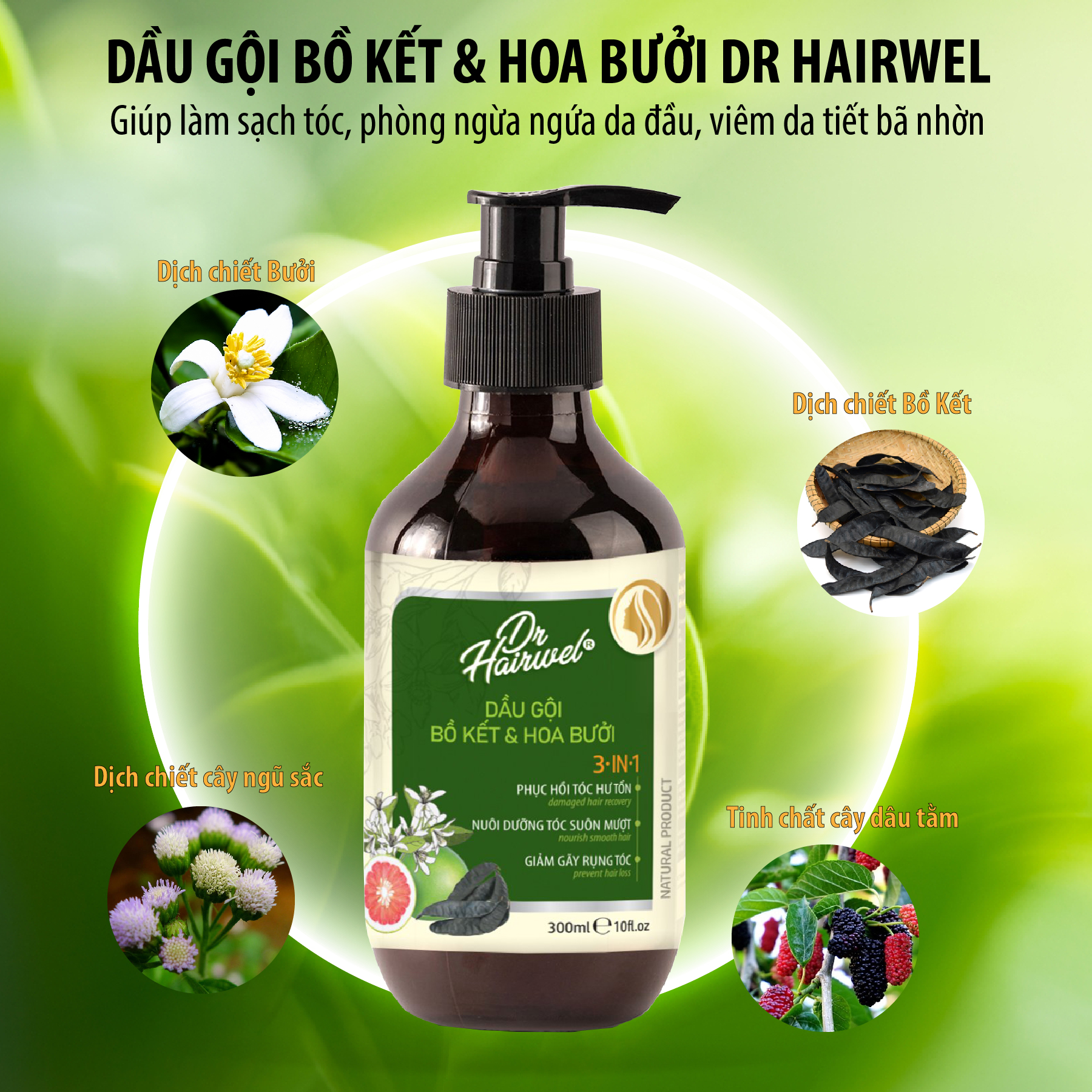 Dầu Gội Thảo Dược Bồ Kết &amp; Hoa Bưởi Dr.Hairwel