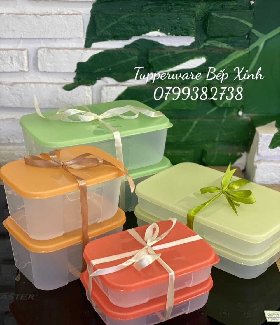Bộ Trữ đông Tupperware Freezermate Colorful Set 8