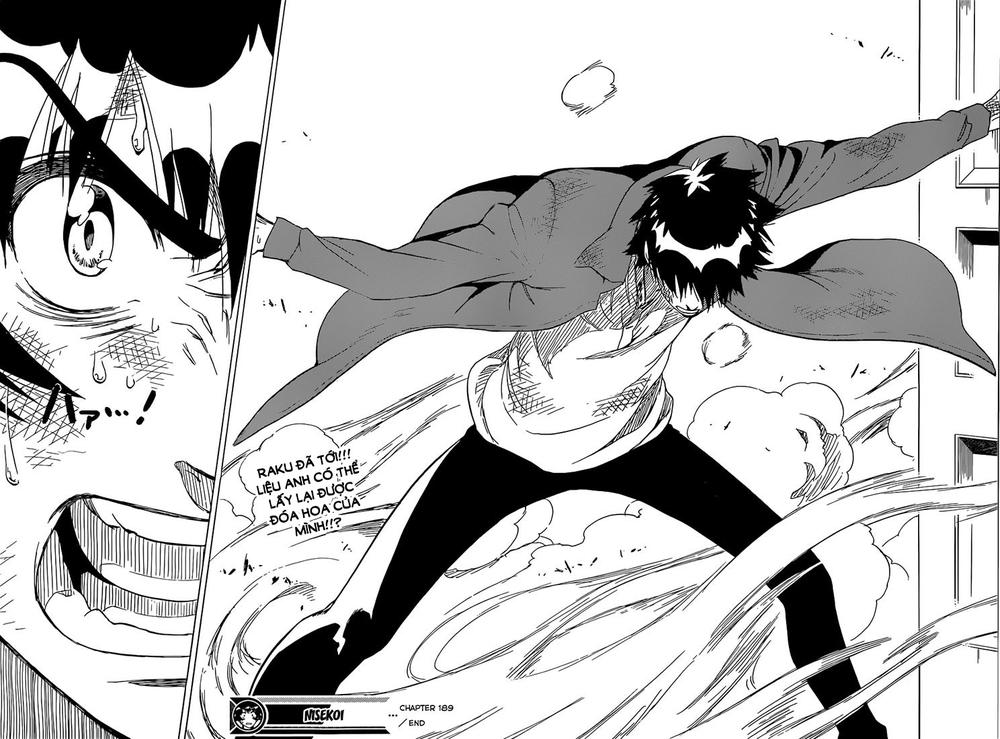 nisekoi - tình yêu giả tạo chapter 189 19