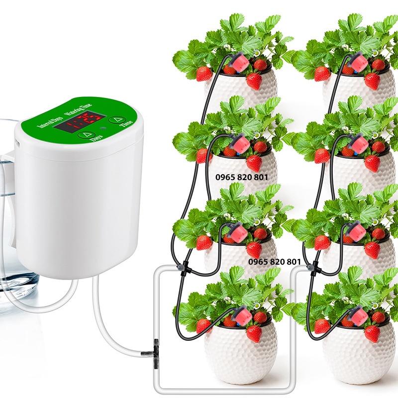 Bộ tưới cây nhỏ giọt tự động chạy pin