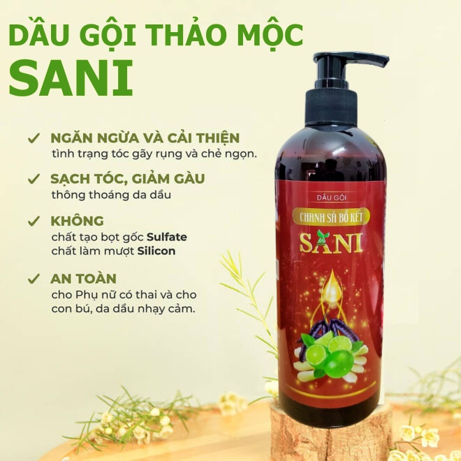 Dầu Gội Thảo Mộc Chiết Xuất từ Bưởi , Hương Nhu ,Mần Trầu, Bồ Kết SaNi 500ml - [ Tặng 1 chai dung dịch vs phụ nữ