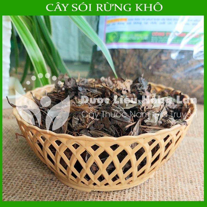 Cây Sói Rừng khô 1kg