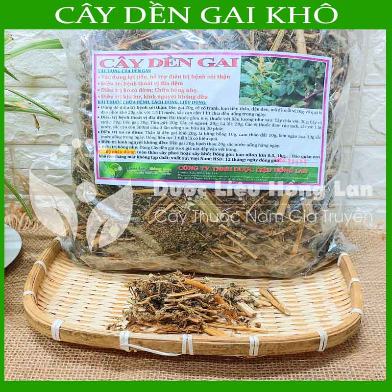 Cây Dền Gai khô sạch đóng gói 500gram