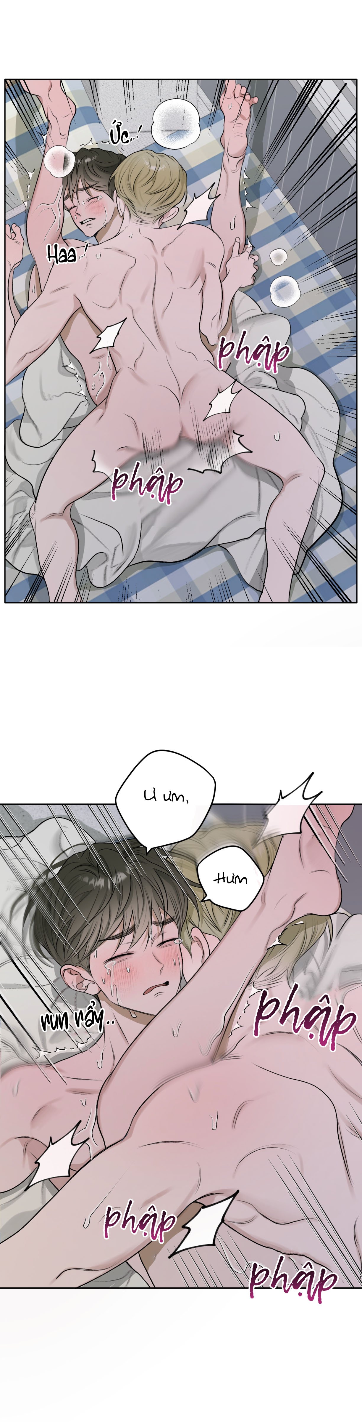 đoá hoa trên mặt hồ chapter 15 3