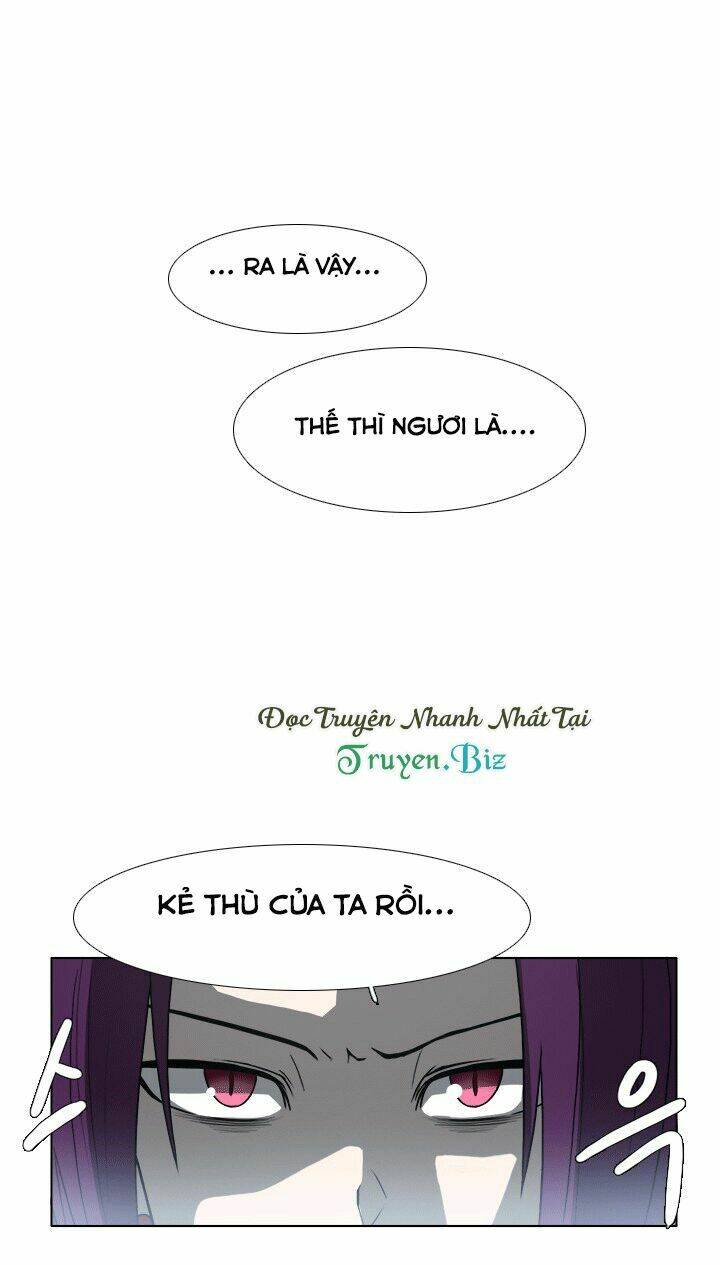 m. m. g. chapter 11 20