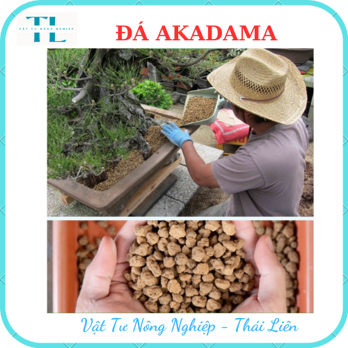 Đất nung Akadama Nhật Bản Size SS bịch 1kg (nền thủy sinh , bonsai , trồng xương rồng sen đá , cây cảnh )