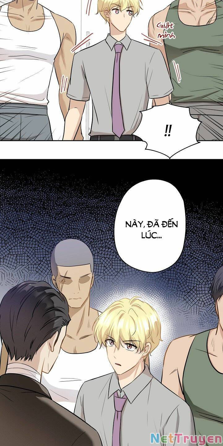 cuộc sống kỳ thú chapter 90 24