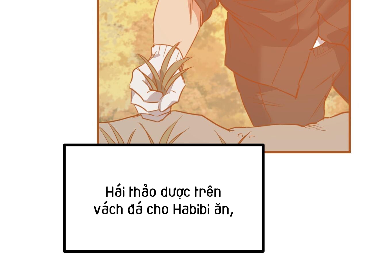 những chú thỏ của hapypy chapter 63 130