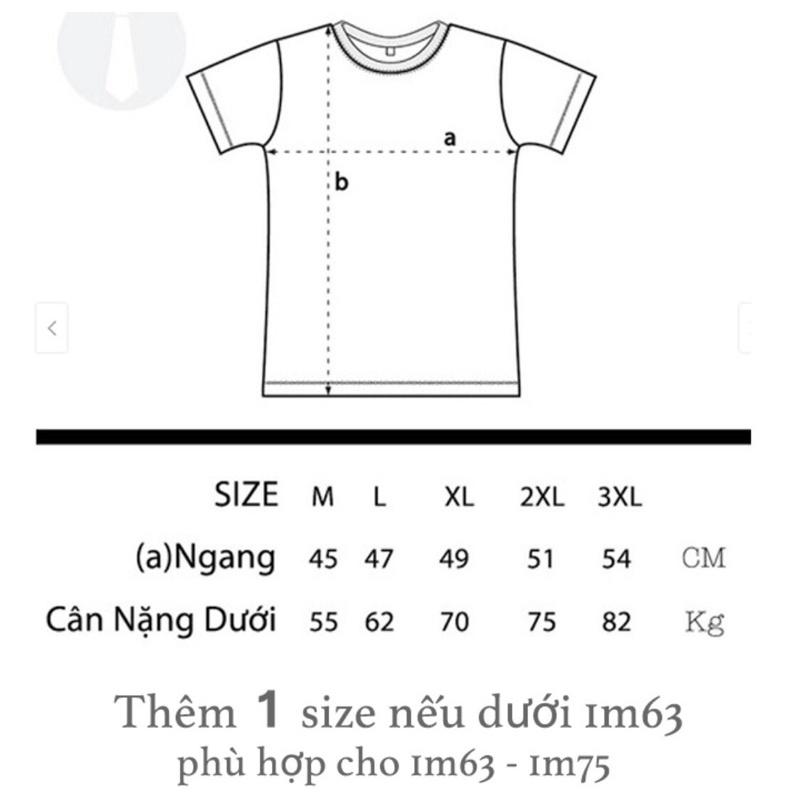 Áo thun thể thao nam vải giản poly giao nhiều màu ngẫu nhiên HT075